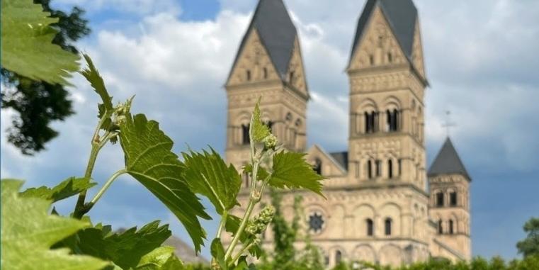 Blick vom Pfarrgarten auf den Dom (c) Stefan Dumont Blick vom Pfarrgarten auf den Dom