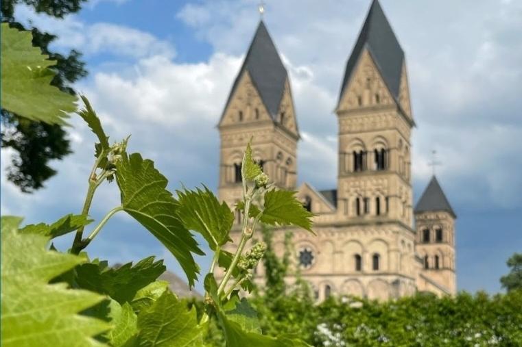 Blick vom Pfarrgarten auf den Dom