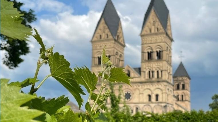 Blick vom Pfarrgarten auf den Dom